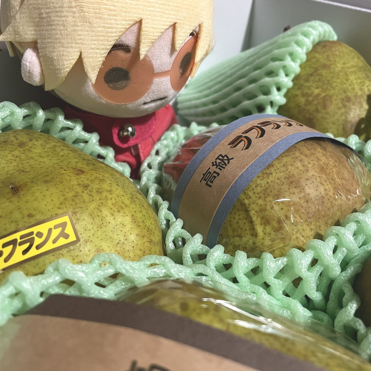 9ban_tri's tweet photo. 美味しい果物が届いたよ〜🍎🍐
あれ、てるヴァくんは？ https://t.co/fU5MpdsZYd