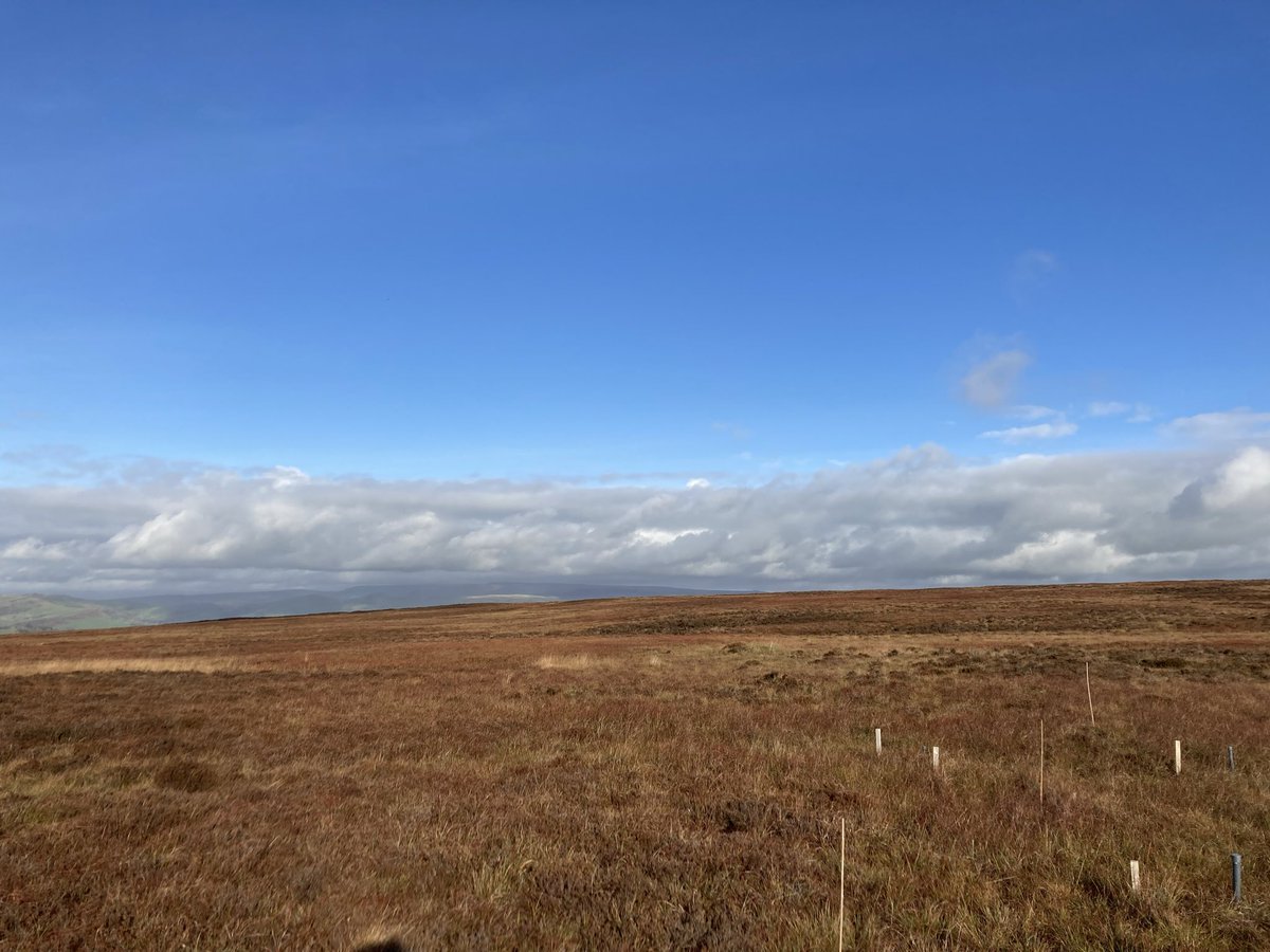 I love to see the changing colours of the moors! #FieldworkFriday