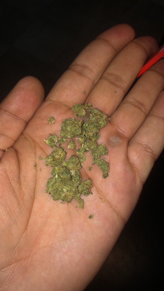 samxv999's tweet photo. sim eu fumei MACONHA LEGALIZADA te amo Itália https://t.co/rKsASgY6Kp