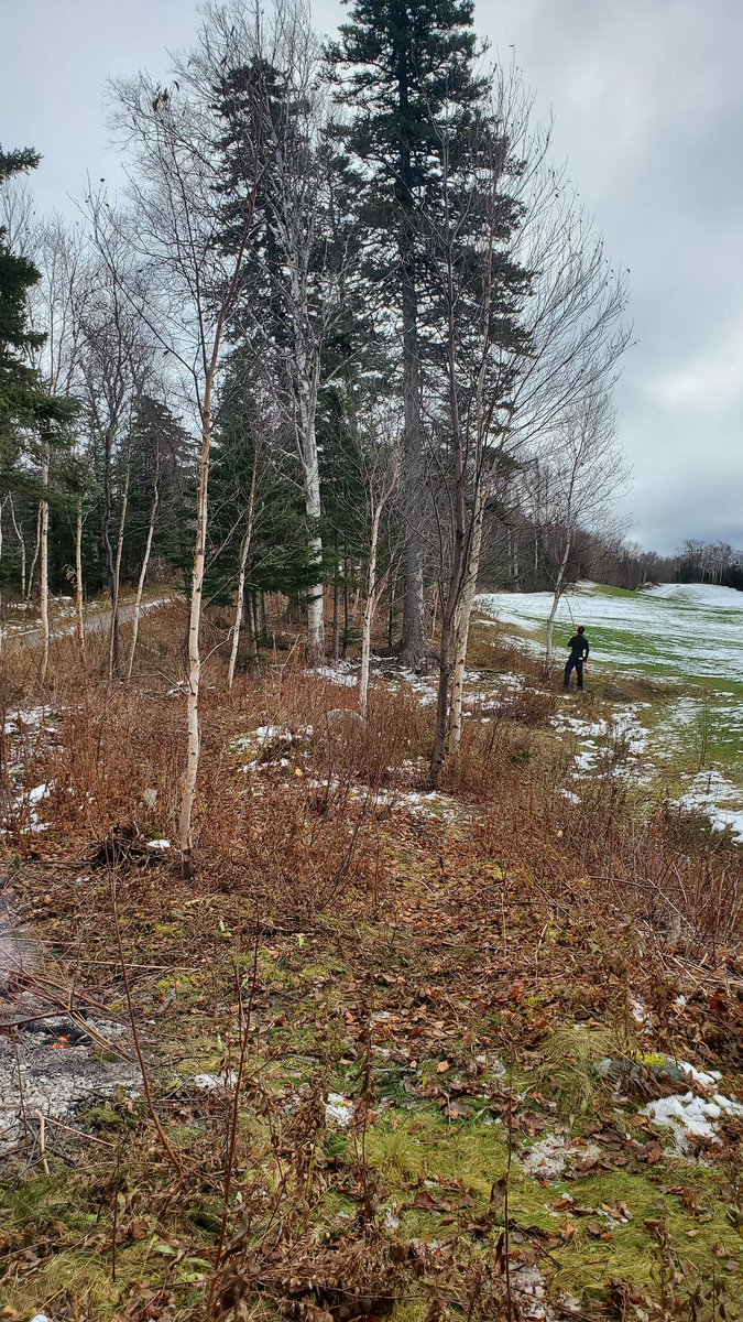 Max Finchem tweet media