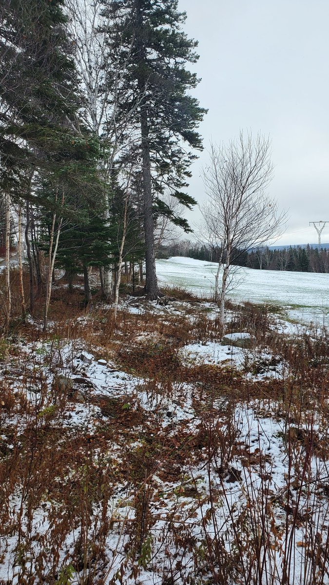 Max Finchem tweet media