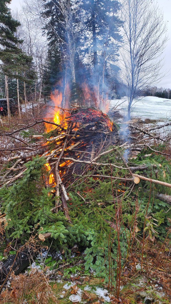 Max Finchem tweet media