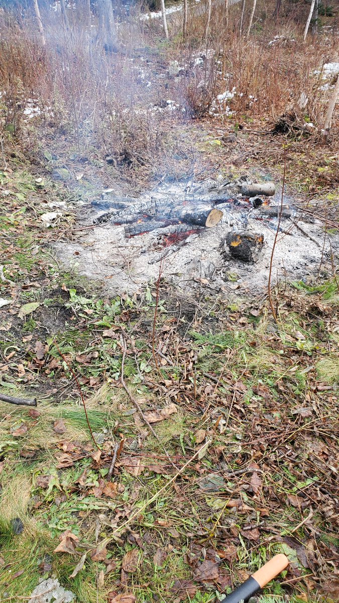 With a bad forecast for this weekend we managed a small cut and burn today down at the <a href="/GanderGolf/">Gander Golf Club</a>. We cleaned up some brush and thinned the forest on left side of #5. Improvements one small area at a time in the off season before ❄️ hits for good. <a href="/NLGolf/">GolfNL</a> <a href="/GolfCanada/">Golf Canada</a> 🪚 🪵 🔥