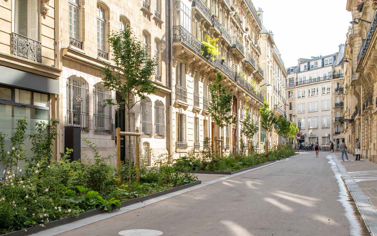 [Avant/Après] 🌳Plantation de 9 arbres et végétalisation de la rue de Florence dans le 8ème arrondissement de <a href="/paris/">Paris</a>
#ParisSeTransforme #ParisVilleJardin