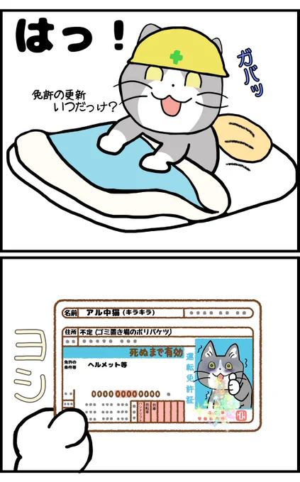 夜、免許証の更新が気になって確かめる

#心配性あるある 