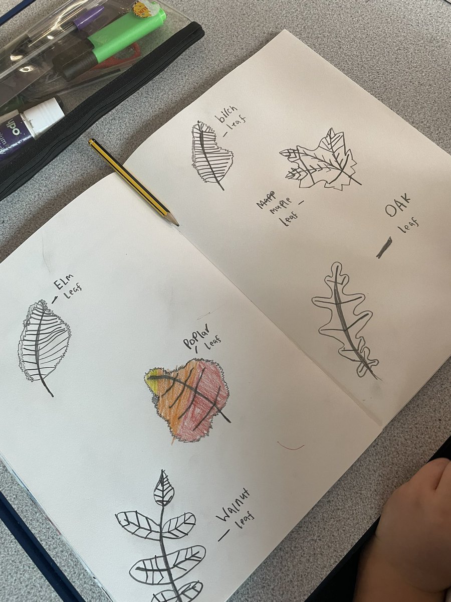 In Oak class this afternoon we were looking at the autumnal leaves and their wonderful colours. Here are some wonderful examples of leaf art work. #nature #SJKart #Autumn #OakClassRule