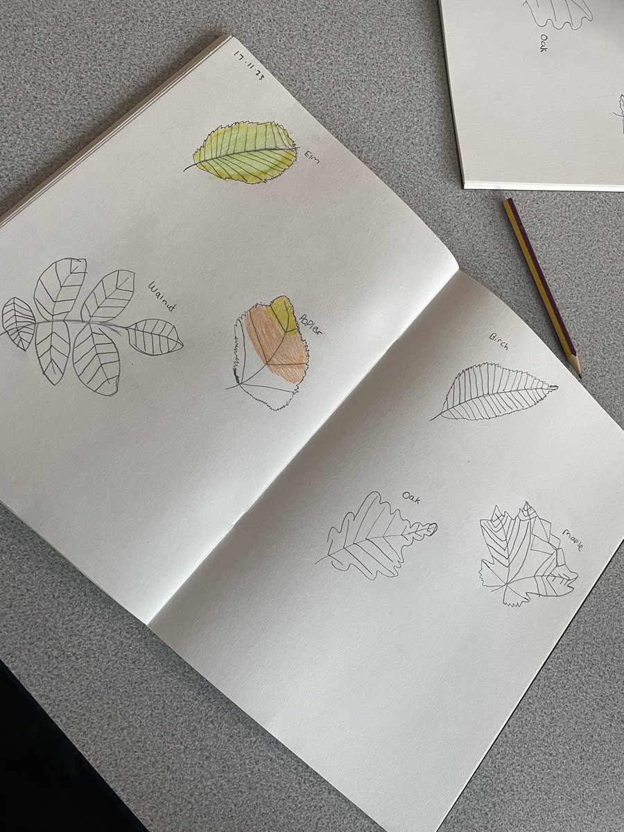 stjosephskly's tweet photo. In Oak class this afternoon we were looking at the autumnal leaves and their wonderful colours. Here are some wonderful examples of leaf art work. #nature #SJKart #Autumn #OakClassRule https://t.co/PBEiCGnfHW