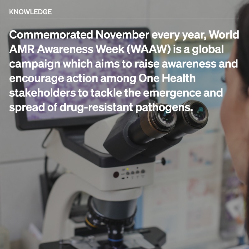 WOAH's tweet photo. Every November, we get together to celebrate World #AMR Awareness Week. This year's theme, preventing #AntimicrobialResistance together, aims to encourage stakeholders and the general public to recognise that everyone can help tackle antimicrobial resistance. Stay tuned! #WAAW