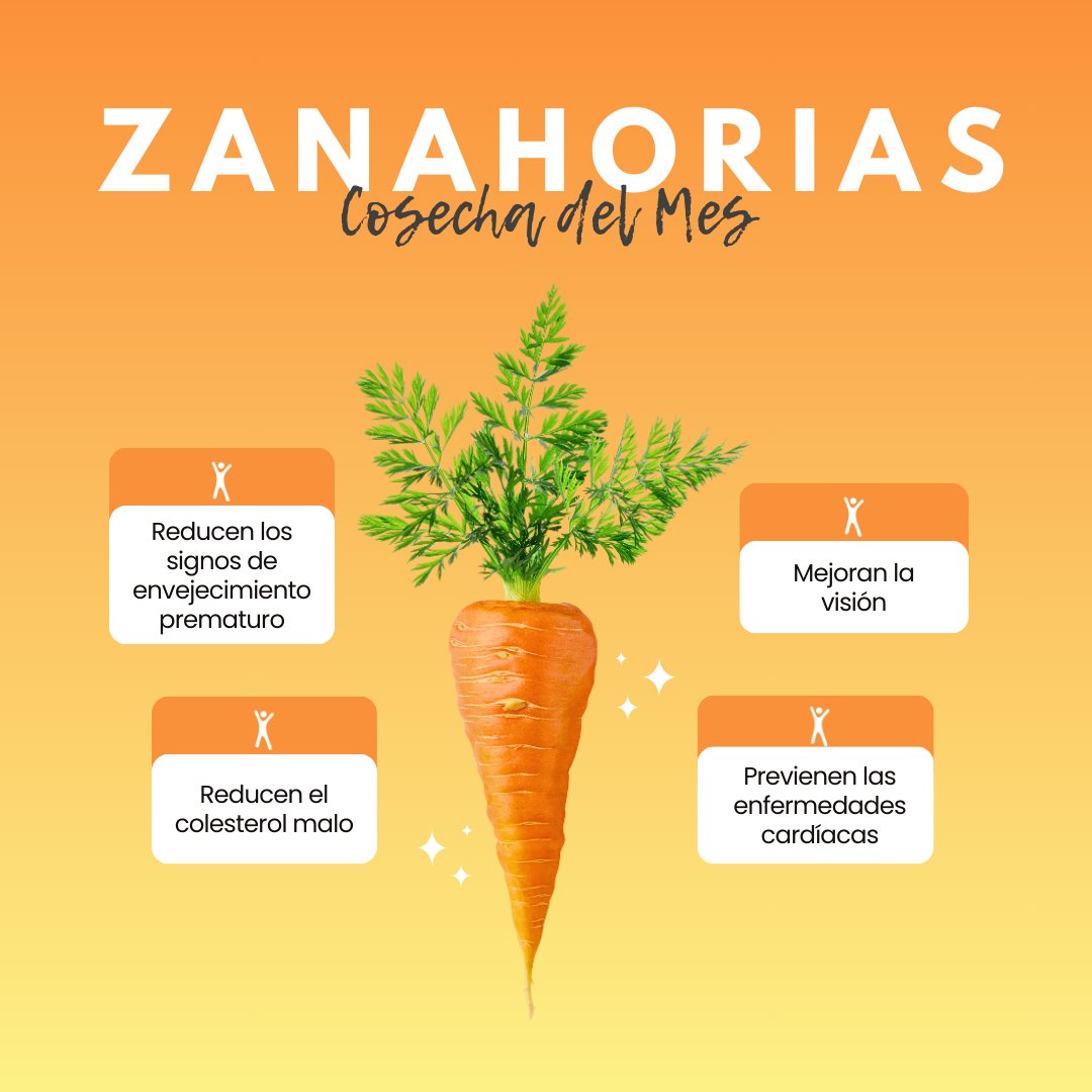 CFISD en Español tweet media