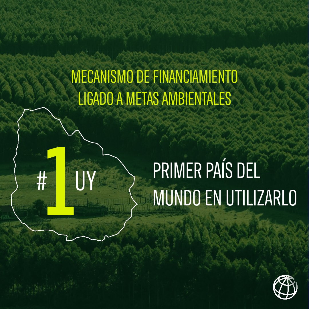 BancoMundialLAC's tweet photo. 1/4 
Por primera vez, un financiamiento del @BancoMundial busca premiar el logro de metas ambientales con una reducción de la tasa de interés. 

#Uruguay es el primer país del mundo en utilizar este mecanismo innovador. https://t.co/eOUEdktKfI https://t.co/BbqEzLCmBy