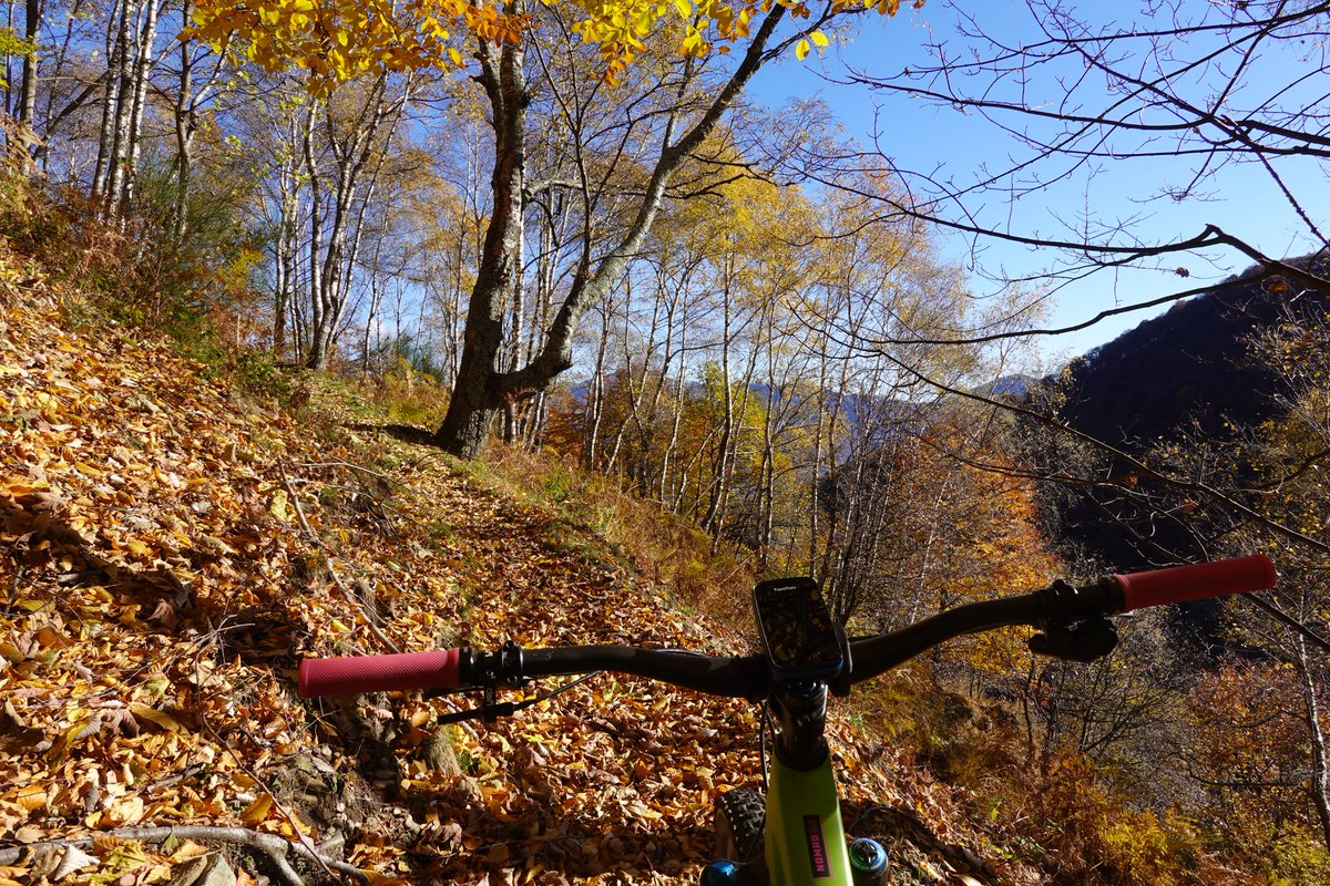 DanielcScherrer's tweet photo. Es hat sich definitiv gelohnt, in den #Tessin zu reisen. #Biketour war super und anspruchsvoll. https://t.co/bPmbaylbYH