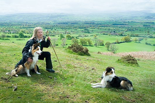 CSJ Dog Food tweet media