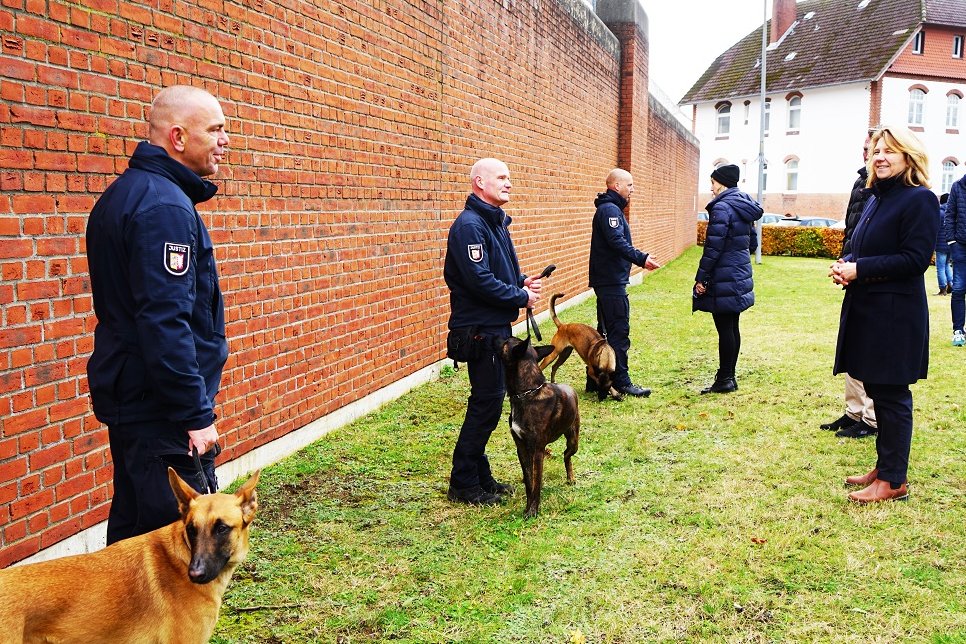 Die 'Justizvollzugshunde' haben ihre Ausbildung abgeschlossen und bei Einsätzen bereits #Drogen im #Vollzug gefunden. Justizministerin von der Decken nahm am 17.11. in #Neumünster an einer Demonstration der #Hunde Teil. Mehr: t1p.de/Justizvollzugs… Fotos: @MJG_SH