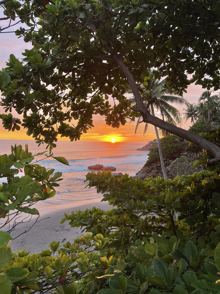 willreeves's tweet photo. I just got back from a few weeks in El Salvador with my wife and baby son. 

The world is dominated by competing visions of bleak, hopeless futures— the futures my boy will inherit.

In El Salvador, I witnessed an alternative vision for the future. A vision whose time has come. https://t.co/ChwPoL4T80