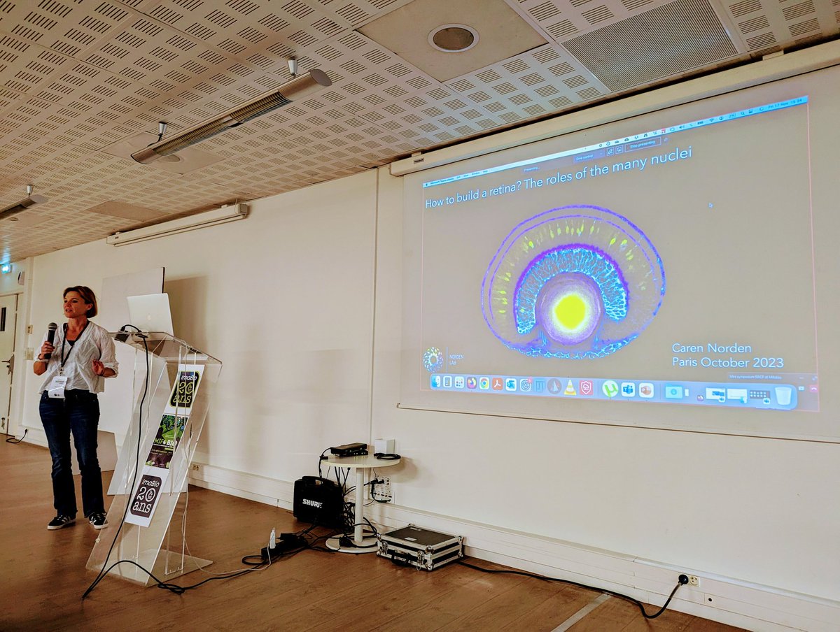 SBCF1's tweet image. Last but not least, Caren Norden brings this incredible week of microscopy and biology to a brilliant close. #MiFoBio + @SBCF1  🎉