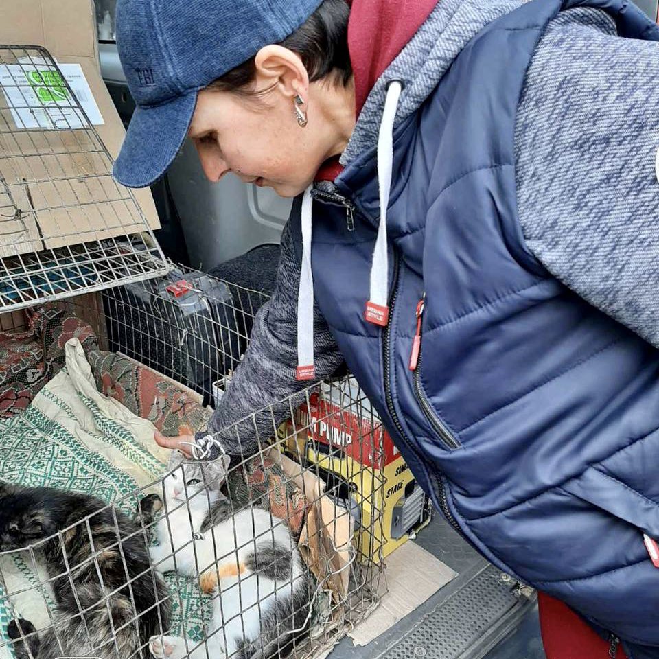 UAnimalsENG's tweet image. 🐾 In Sumy region, a community united for animal welfare! 
🚑 Our vets sterilized 410 cats and dogs across three villages and provided 510 kg of pet food to locals in need. Your support for our free sterilization program is vital in shaping a brighter, safer future for strays in…