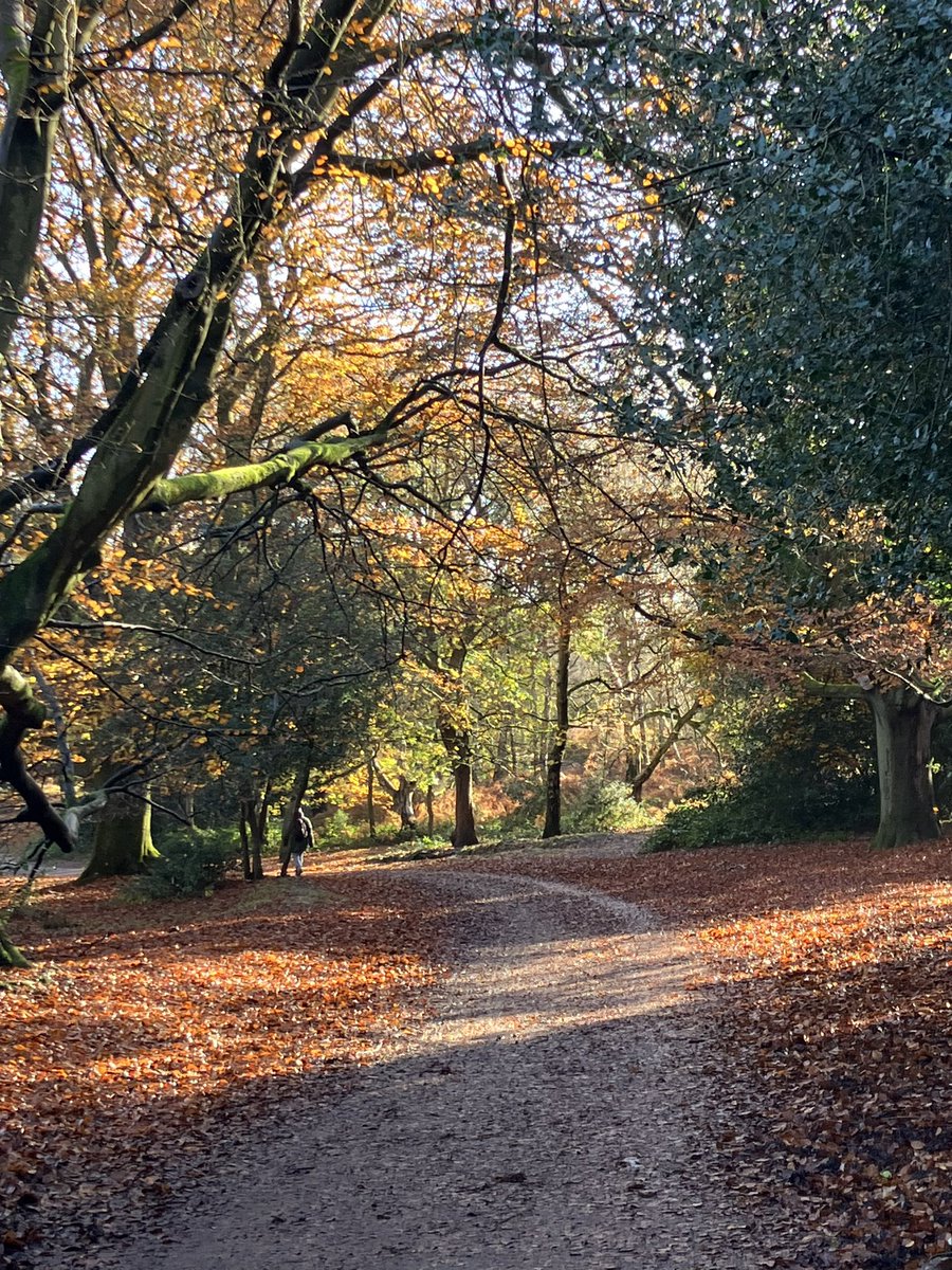 #suttonpark this morning