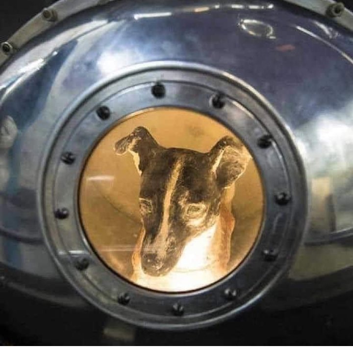 outstanding02's tweet photo. Laïka ❤️🥺🐶
Tenía al rededor de tres años , una perrita mitad Husky y mitad terrier cuando la mandaron a sus sentencia de muerte en el Sputnik 2. Laïka falleció 4 días posterior sin oxígeno y con calor en el espacio , sola . https://t.co/opaY2oAwU5