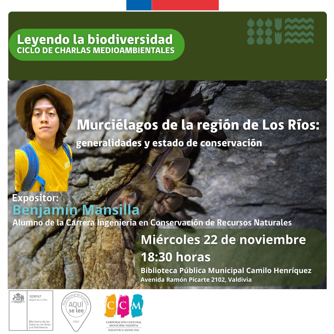 Red Bibliotecas Públicas Los Ríos tweet media