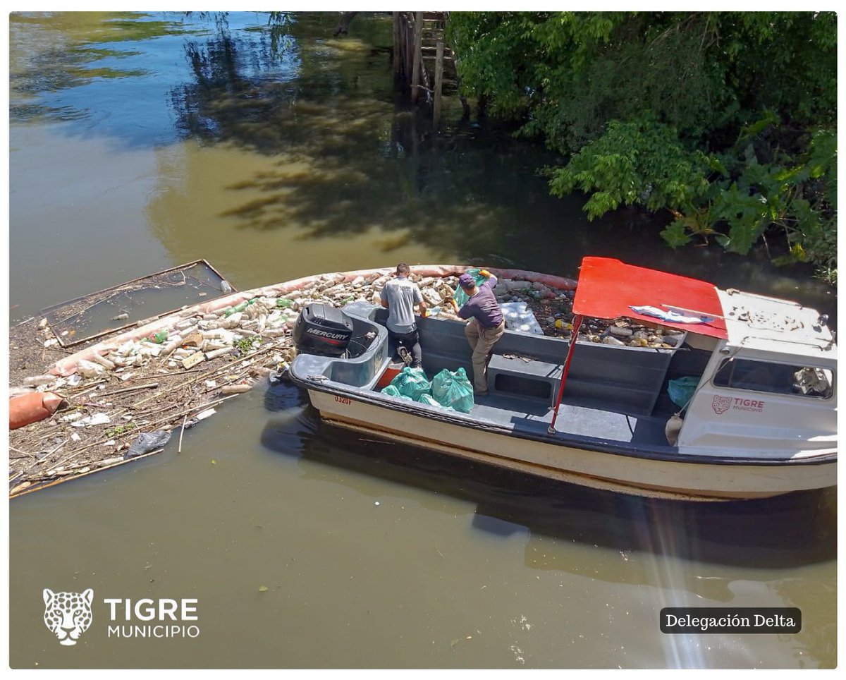 DeltadeTigre's tweet photo. 𝐓𝐎𝐌𝐄𝐌𝐎𝐒 𝐂𝐎𝐍𝐂𝐈𝐄𝐍𝐂𝐈𝐀
Con el objetivo de contribuir a la preservación del ambiente, continuamos realizando la Recolección Diaria de residuos sobrenadantes en Rio Tigre, así como también la limpieza de rampas y mangas de contención.
#TomemosConciencia🚯 https://t.co/asseW9WZnd