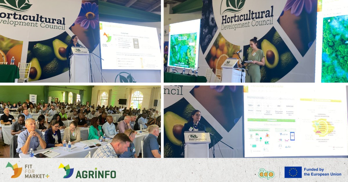 colead_link's tweet photo. At the #HDCForum yesterday held by the @hdczim in #Harare - #FFM+ (#EU & @PressACP funded) & #AGRINFO (#EU funded) programmes implemented by @colead_link, presented actions & activities in supporting theย #Zimbabweanย horticultural sector. https://t.co/EXeiBXDAHa