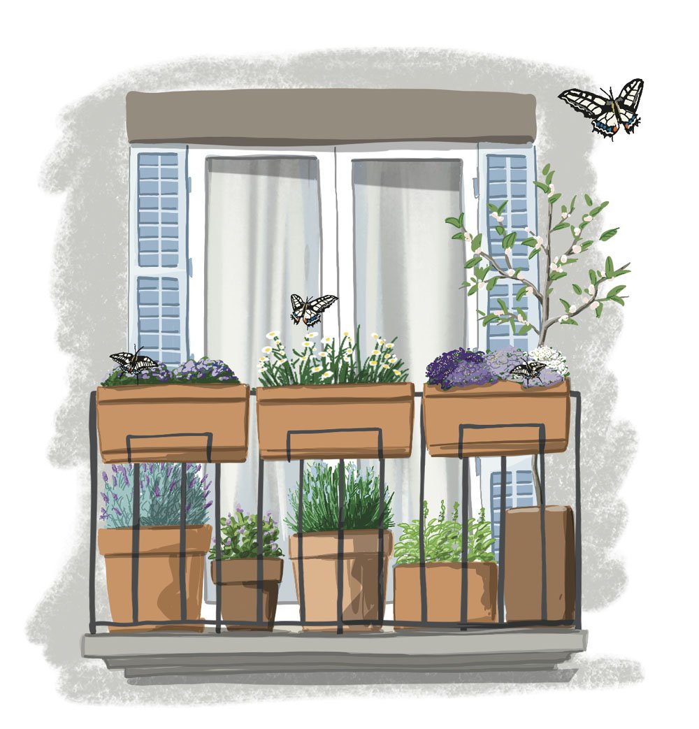 GremiJardineria's tweet photo. Fes un jardí de papallones al teu centre educatiu! 
El 18 d'octubre es va presentar el projecte educatiu Jardins de papallones per a totes les escoles interessades a desenvolupar aquest projecte de ciència ciutadana amb el Museu de Granollers. https://t.co/qK1VU112Sm https://t.co/HWfHKV41VJ