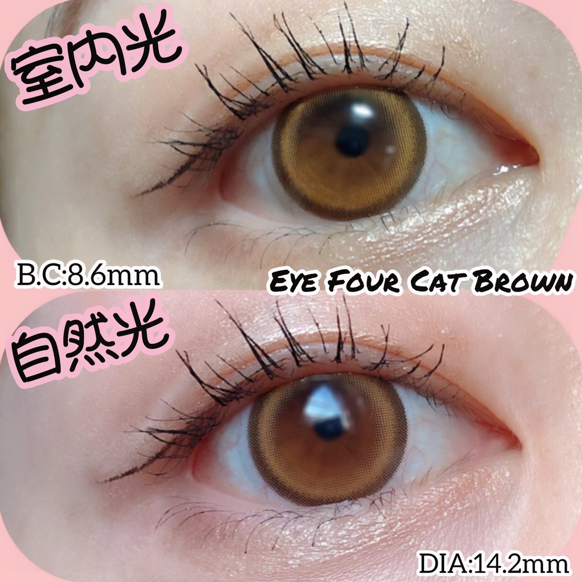 31m6npan3's tweet photo. カラコンぴあさんにいただきました🐈‍⬛

#PR #カラコンぴあ #KARACONPIA #韓国カラコン #EyeFourCat #レンズミー https://t.co/nIgC45gS0u