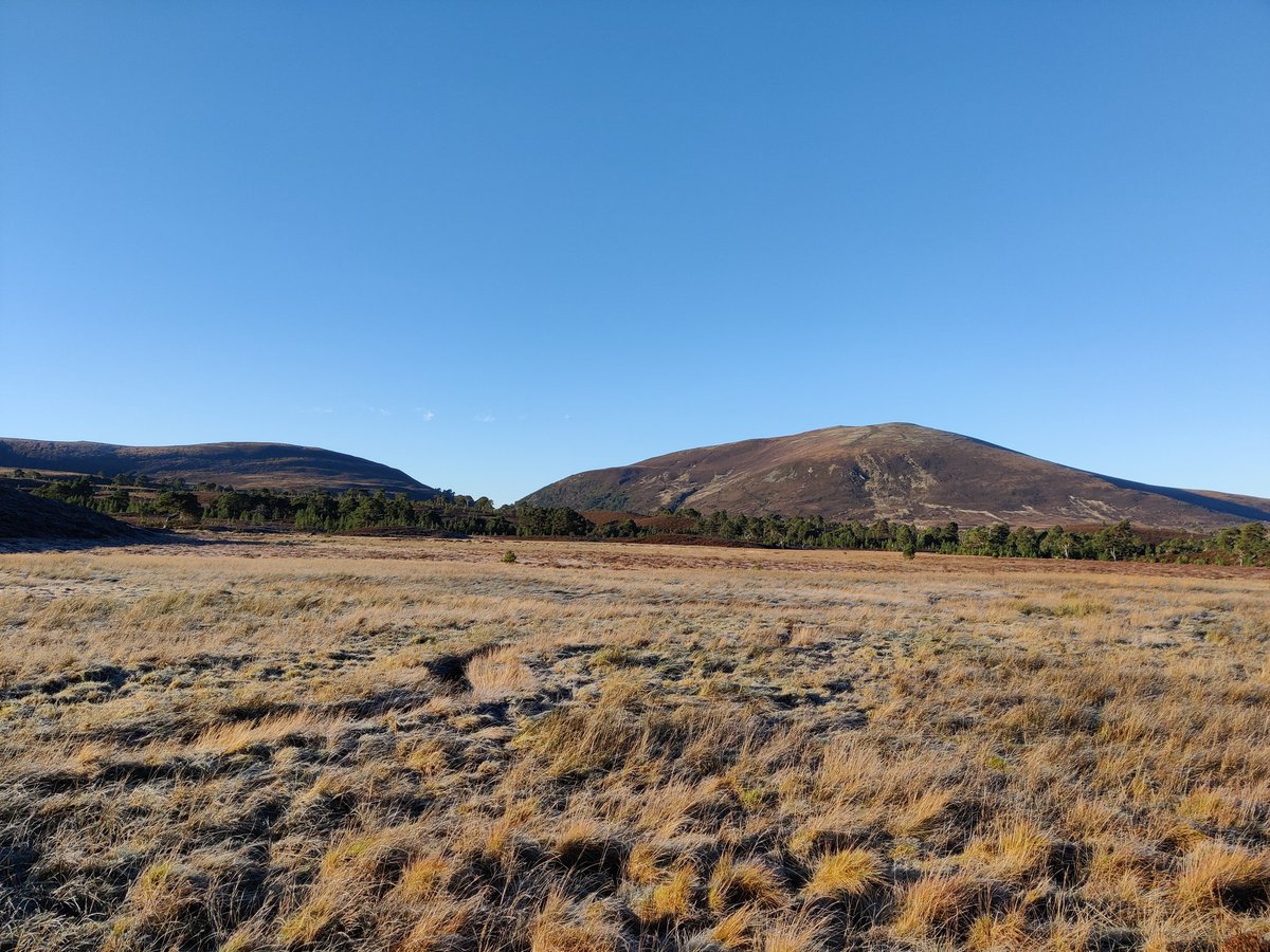 ewanecraig's tweet photo. Gorgeous morning to be out https://t.co/a4UeA2x39b
