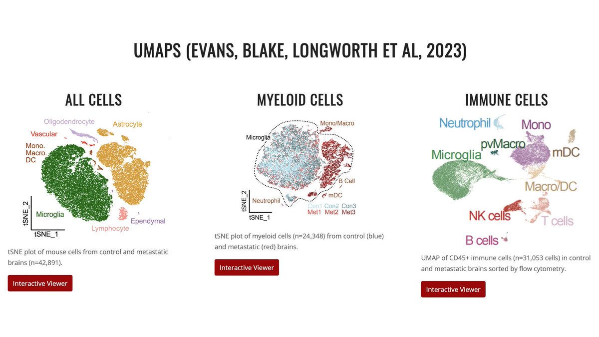 Check out our new single cell datasets! We posted interactive UMAPs on our lab website lawsonlab.org, from our recent paper in @NatureCellBio where we found that microglia promote anti-tumor immunity and suppress brain metastasis. Check out expression of your fav genes!