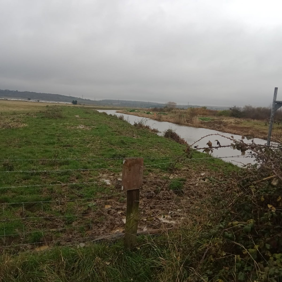 Lower Medway Internal Drainage Board tweet media