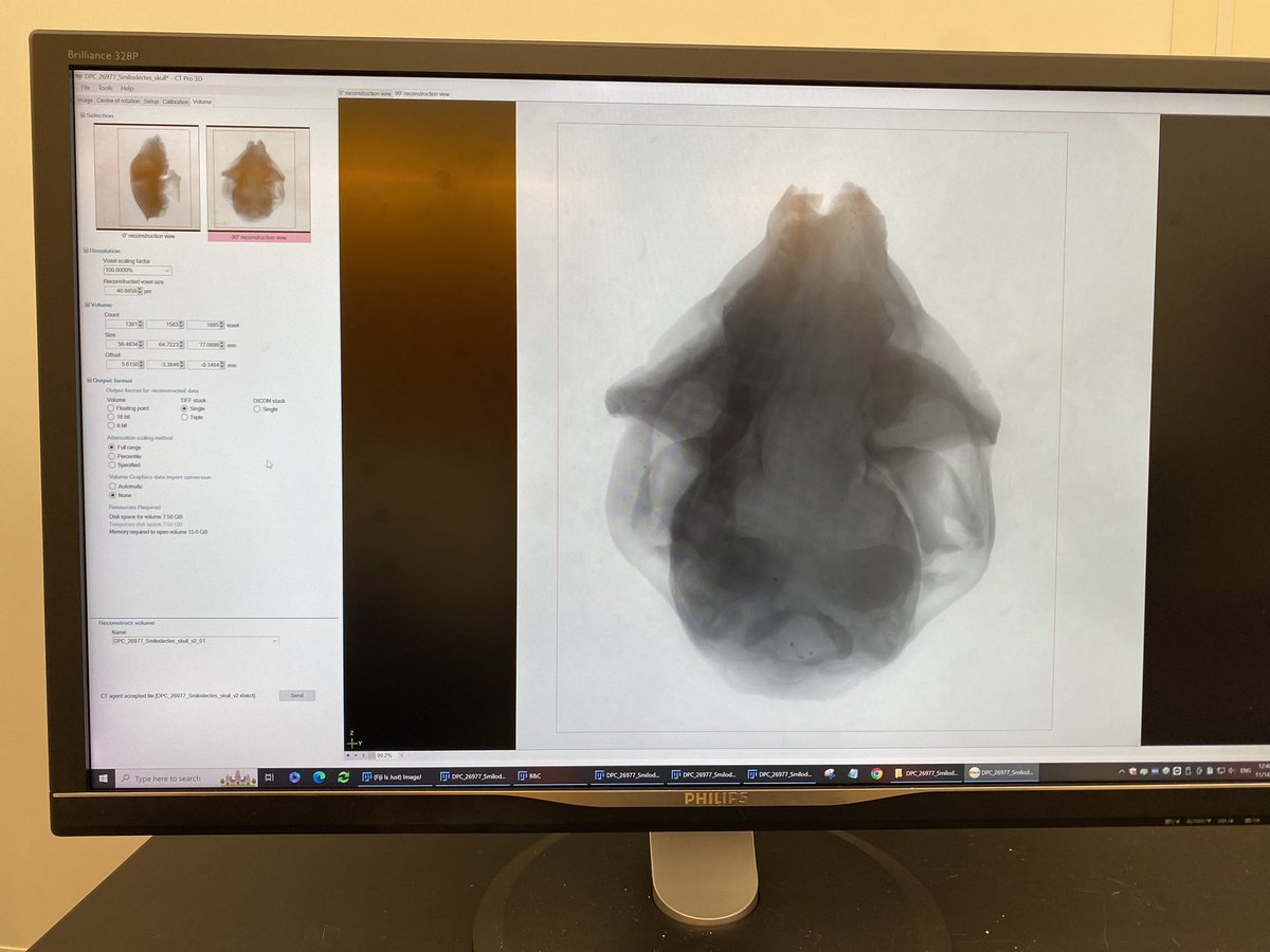 Matthew Borths tweet media