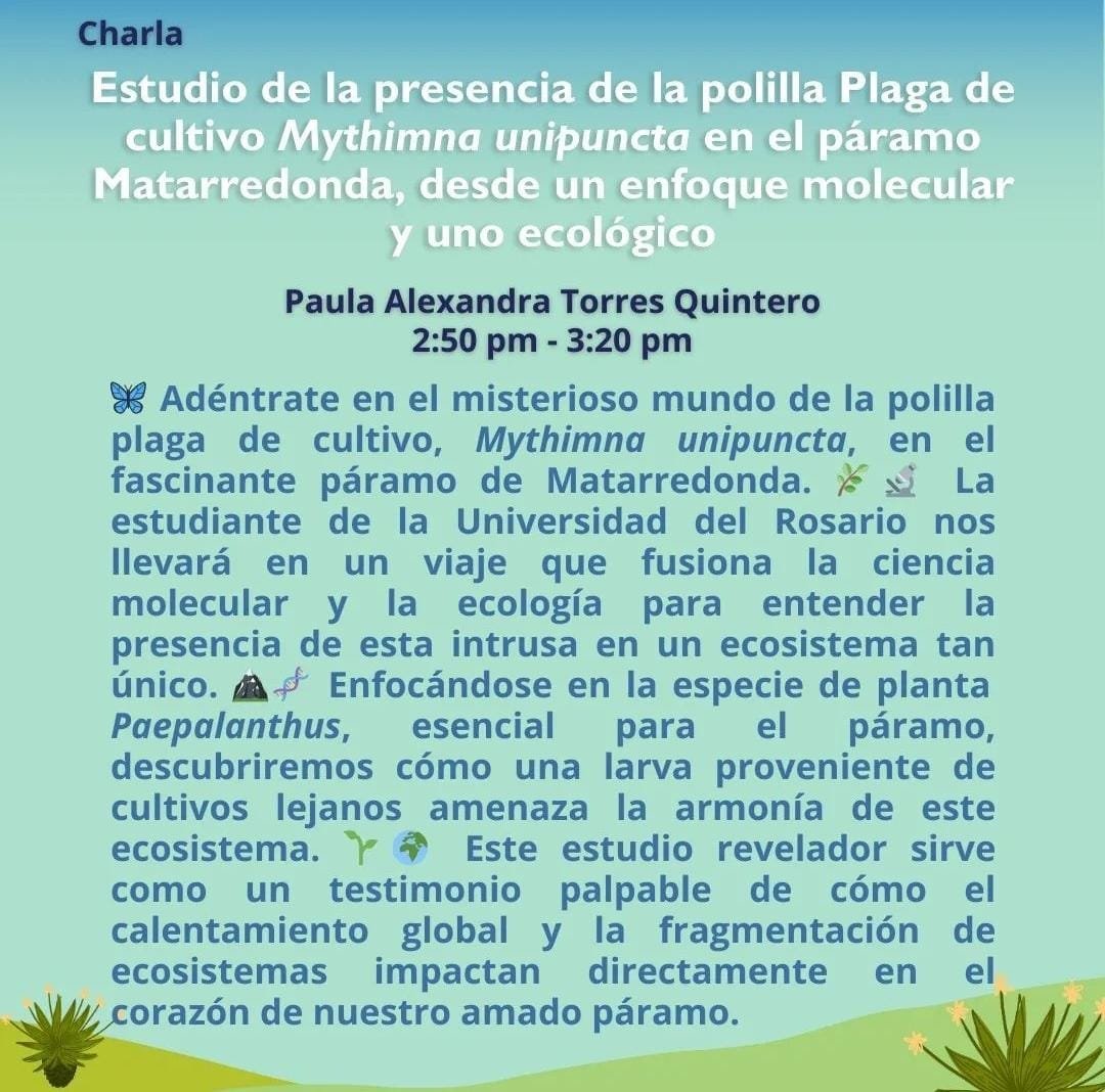 Paula Torres tweet media