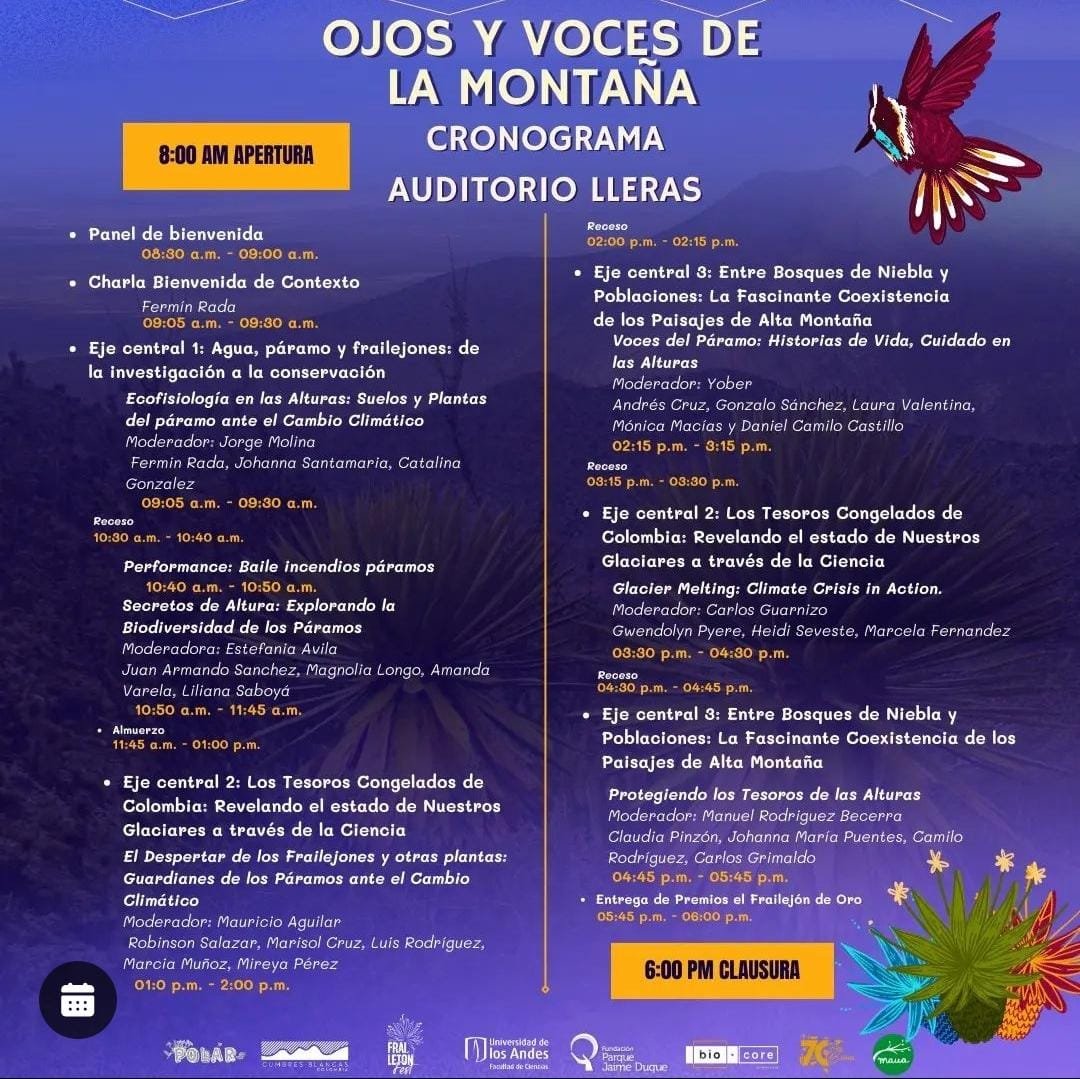 Paula Torres tweet media