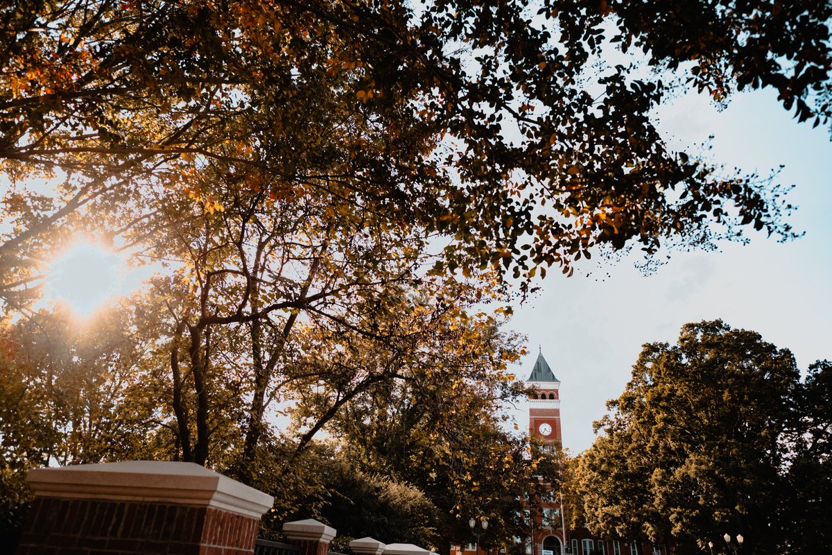 Have a great fall Friday, Tigers! 🍂