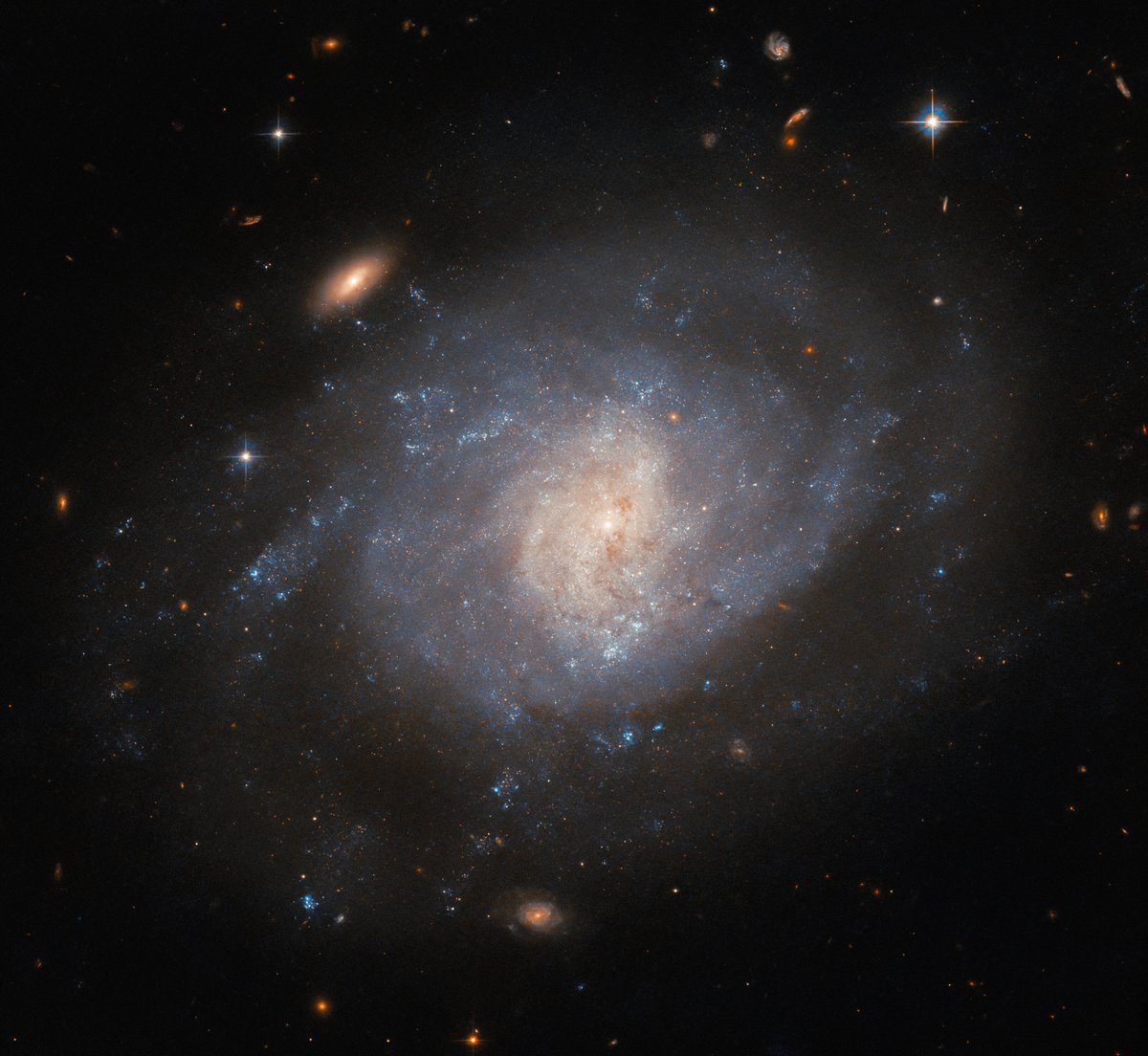 Happy #HubbleFriday! ✨

This image shows the spiral galaxy NGC 941. Located 55 million light-years from Earth, NGC 941 resides in the constellation Cetus.

Discover more: go.nasa.gov/46zGHmF