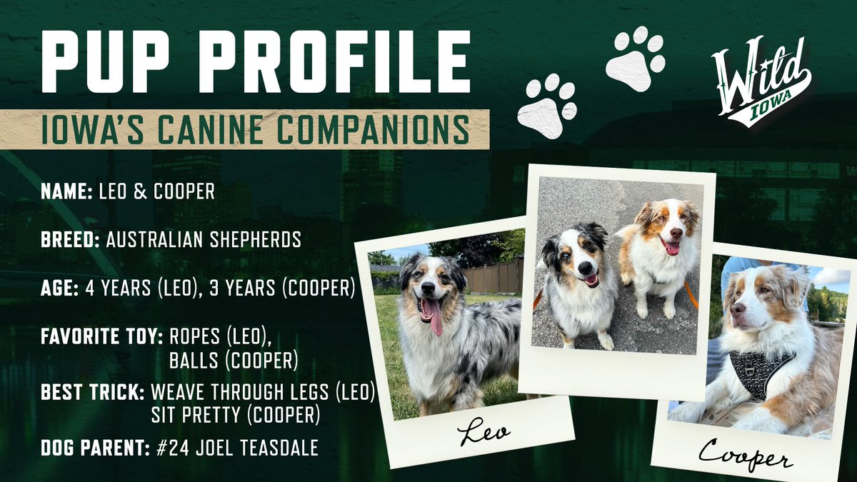 Happy Friday! Or should we say... furday, cause we've got some more Pup Profiles for you today! Meet Leo &amp; Cooper, the fur babies of <a href="/JoTeas24/">Joel Teasdale</a> 🐶

Get your tickets to Pucks N Paws: pulse.ly/zrhy8layhz