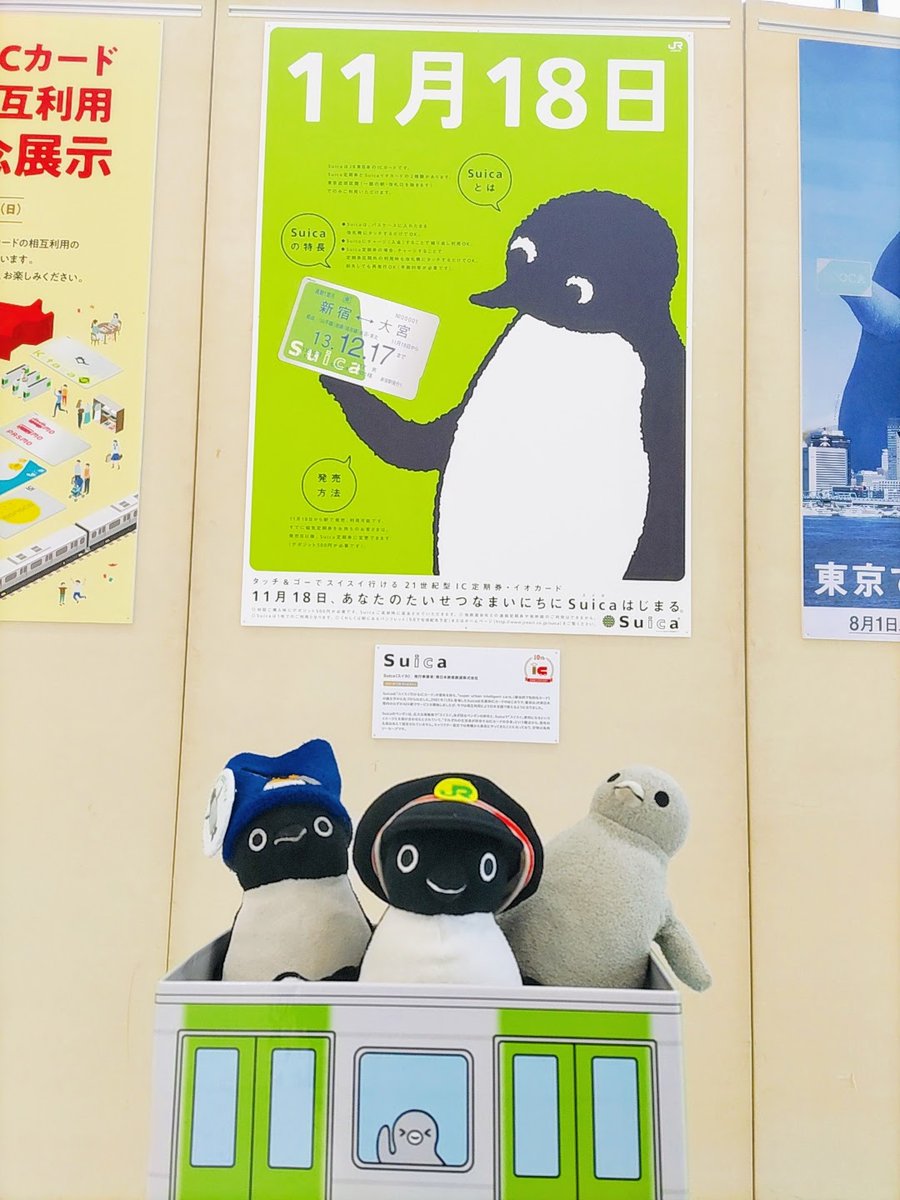ペンギンズ 本日11月18日はSuicaの誕生日です みんなで盛大にSuicaを祝おう🎉🐧