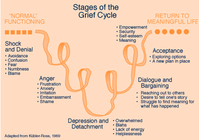 AlittleofS's tweet photo. Stages of the grief https://t.co/fHupLn8i88