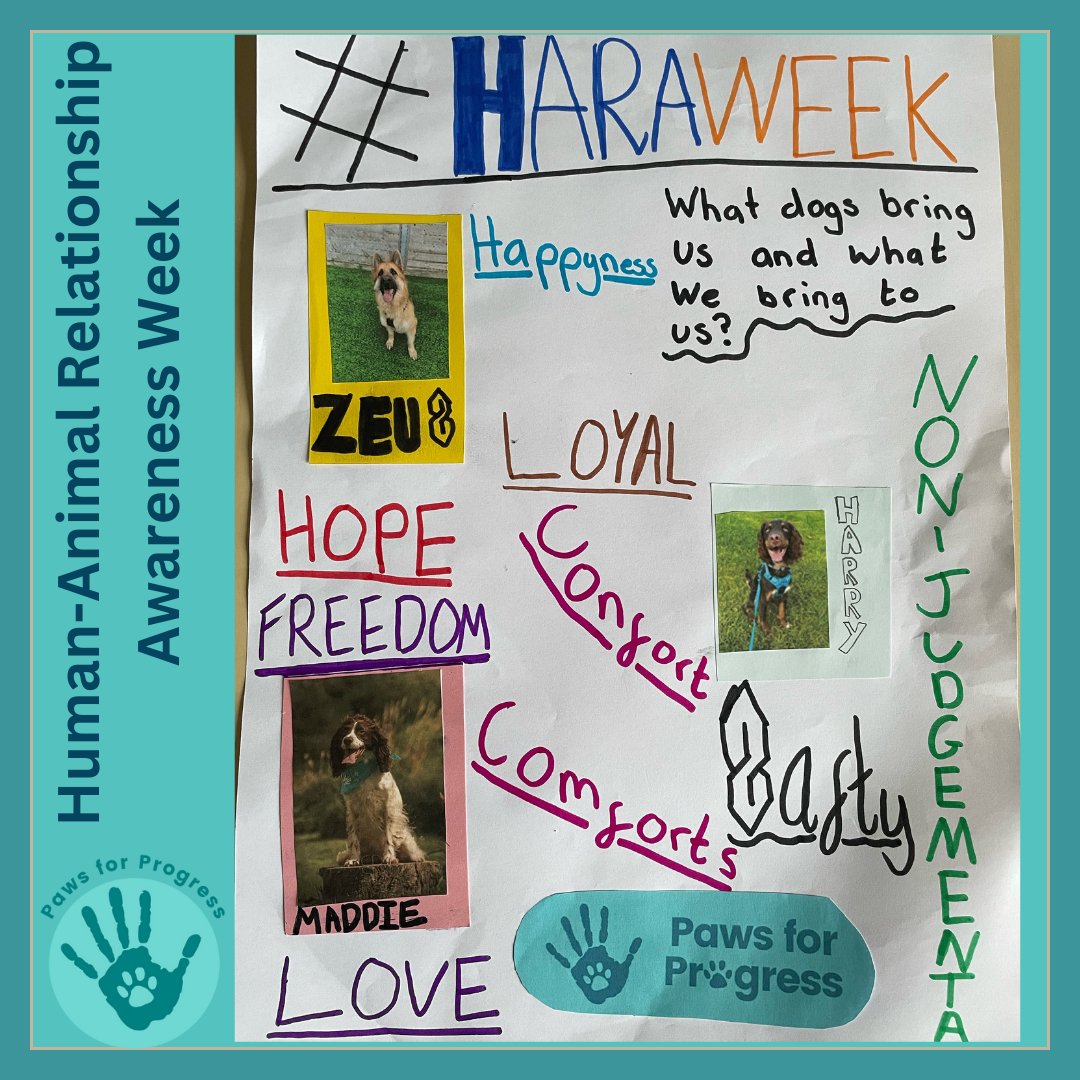 Happy Human-Animal Relationship Awareness Week! #HARAWeek The relationship between people & dogs is at the heart of #PawsforProgress. Our students made these great posters describing their feelings about dogs & their connection with them💙 @scottishprisons @EdinDogCatHome