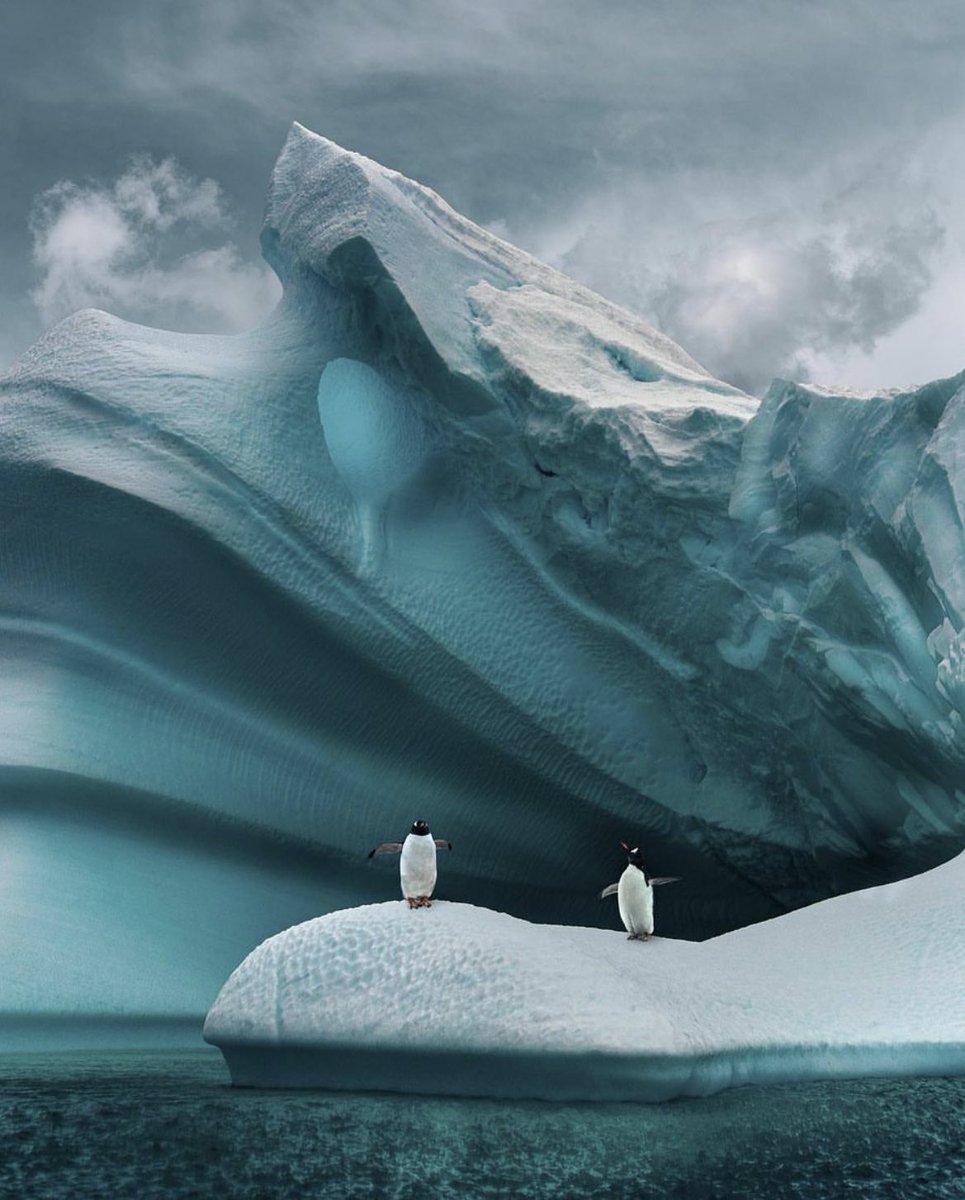 earthcurated's tweet photo. Antarctica. https://t.co/1GnUmAucwX