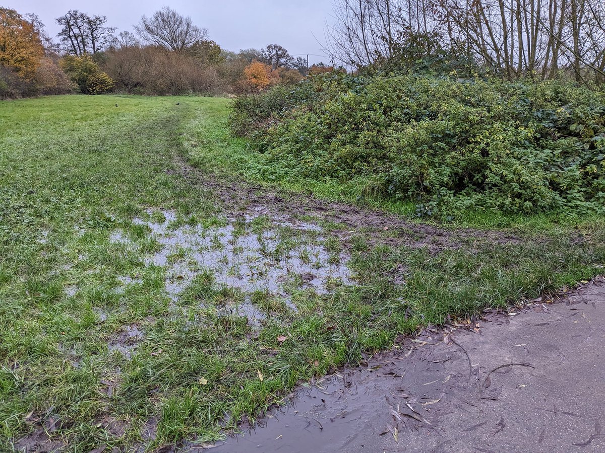 It will be the flood course tomorrow. The part of the field before the hedge is waterlogged in places so you will get wet feet! The rest of the course has a few puddles and patches of mud. Come prepared and enjoy!!!