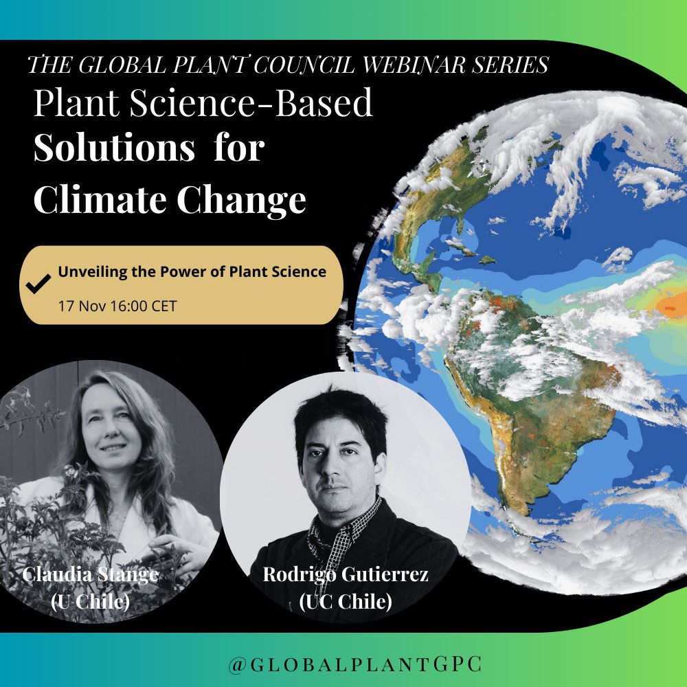 GlobalPlantGPC's tweet photo. Follow the streaming: https://t.co/tqr9UEiq7z 

#Aim4Climate https://t.co/RPI3CNCtAr