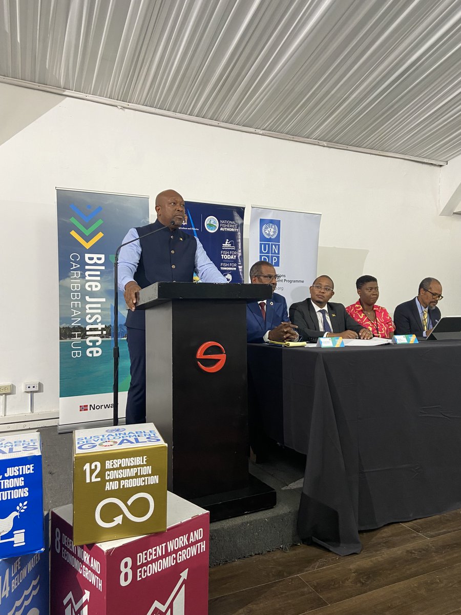'A call to action!' Minister of Agriculture, Forestry and Fisheries, St. Vincent and the Grenadines, H.E. Saboto Caesar speaks live at the @_bluejustice Caribbean Hub launch. Watch the stream on: bluejustice.org @UNDPNorway @UNDPJamaica @thenfajamaica