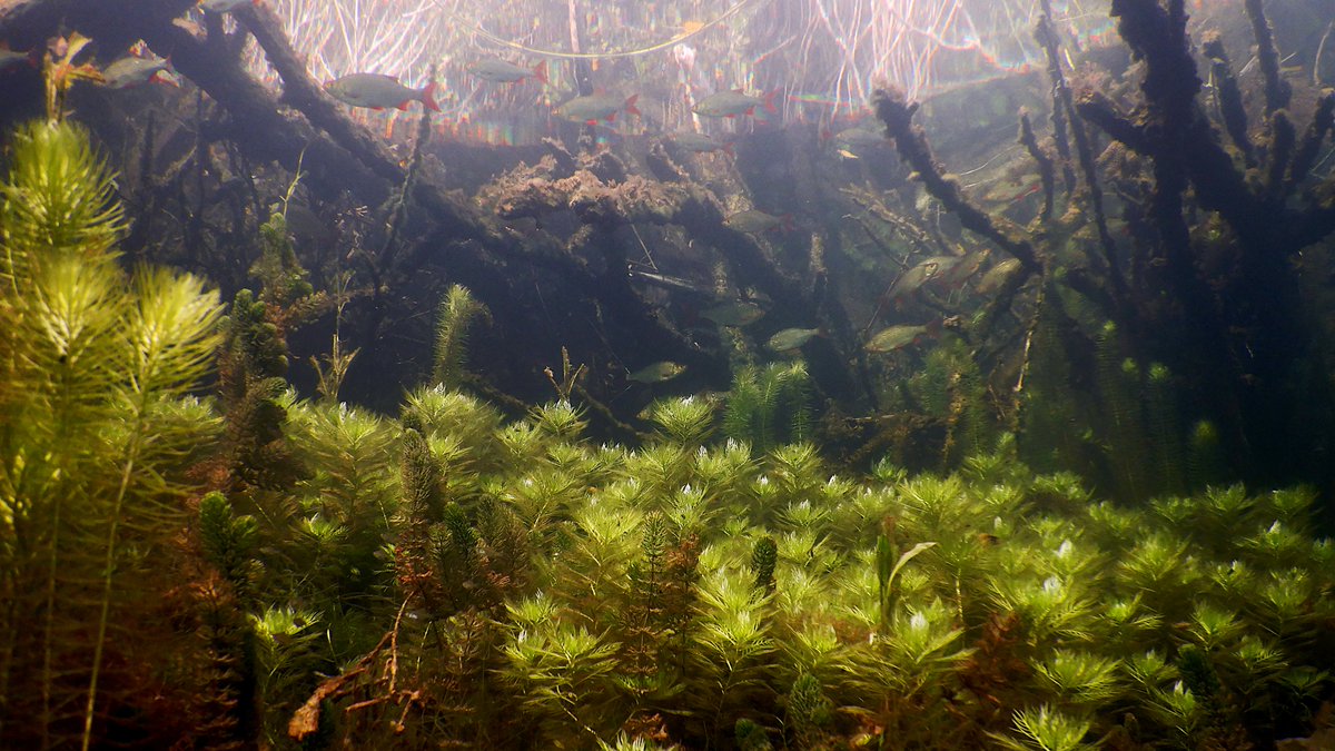 Anne Lwr tweet media