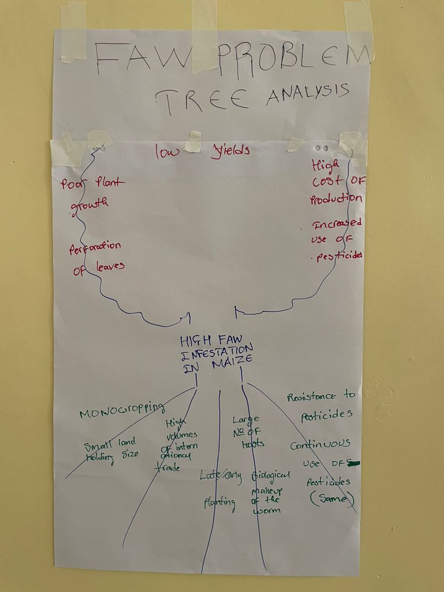 FAOMalawi's tweet image. #TAPAISProject
Final day of the training! 
Participants showcase attained capacities in #NetworkingForCollaboration #OutcomeMapping reflection and learning #ProblemTreeAnalysis for navigating complexities and #Engaging in multi stakeholder processes.