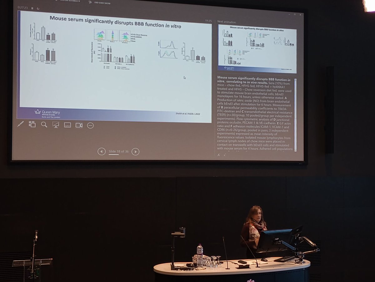 Brain Barriers tweet media