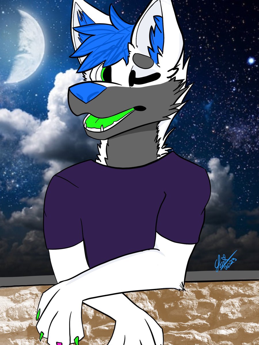 acethefolf's tweet photo. Just a floof and his stars 🌟 https://t.co/MKTK60erIu