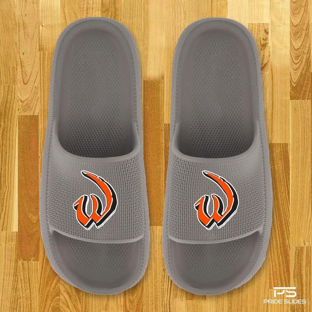 We are selling athletic slides!  3 color choices.  Sale ends January 9.

lincolnwaywestslides.itemorder.com/shop/home/