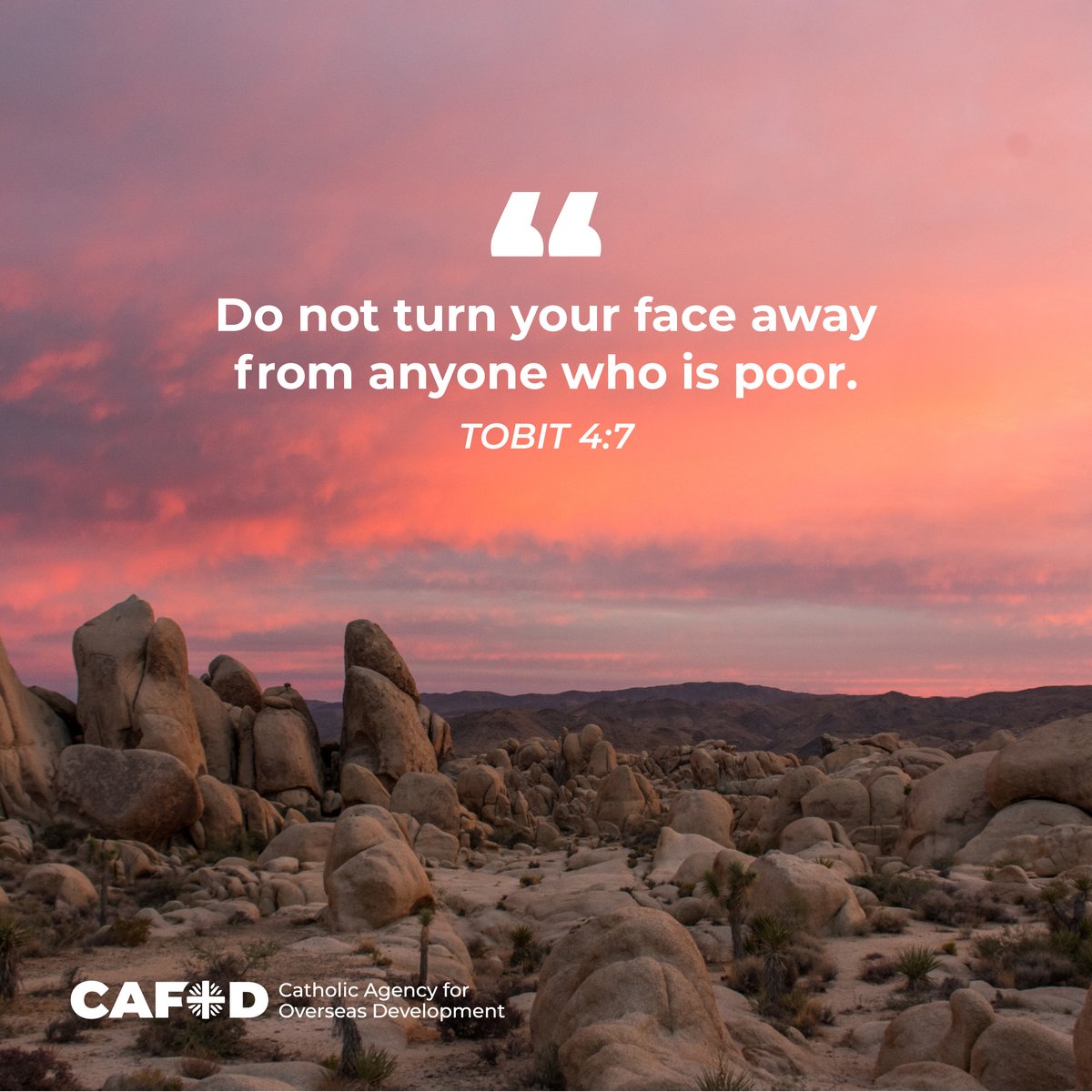 CAFOD in A&B tweet media
