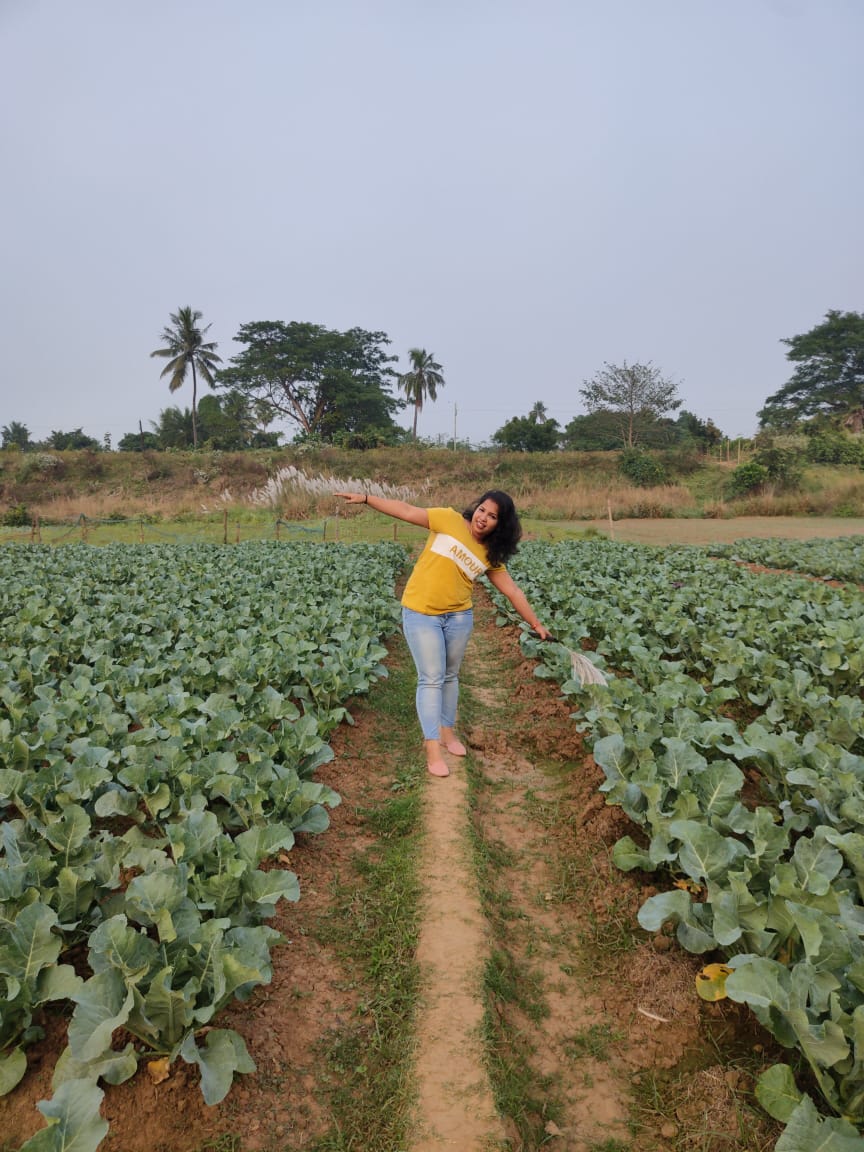 nikita_beura's tweet image. Some Farmhouse Vibes...

#mbavlogger 
#farmhouse 
#pipili